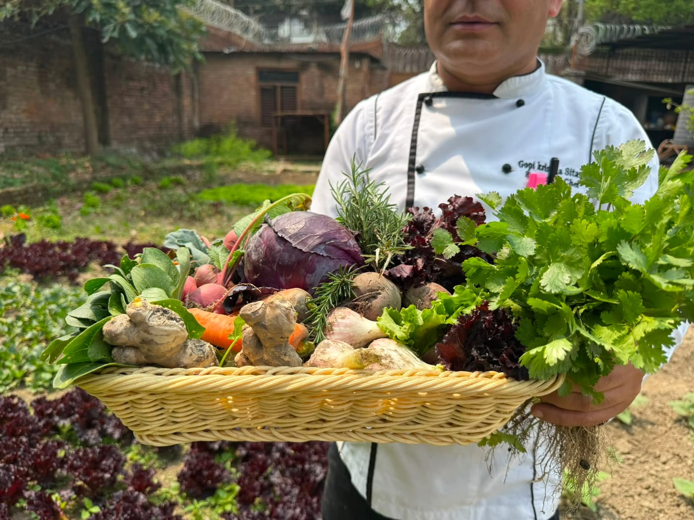 The chef with a basket of freshly harvested vegetables at Nepali Ghar Hotel