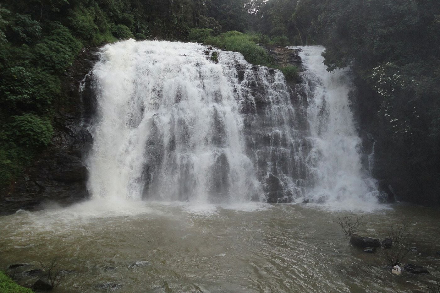 Abbey Falls in full flow with forest on both sides