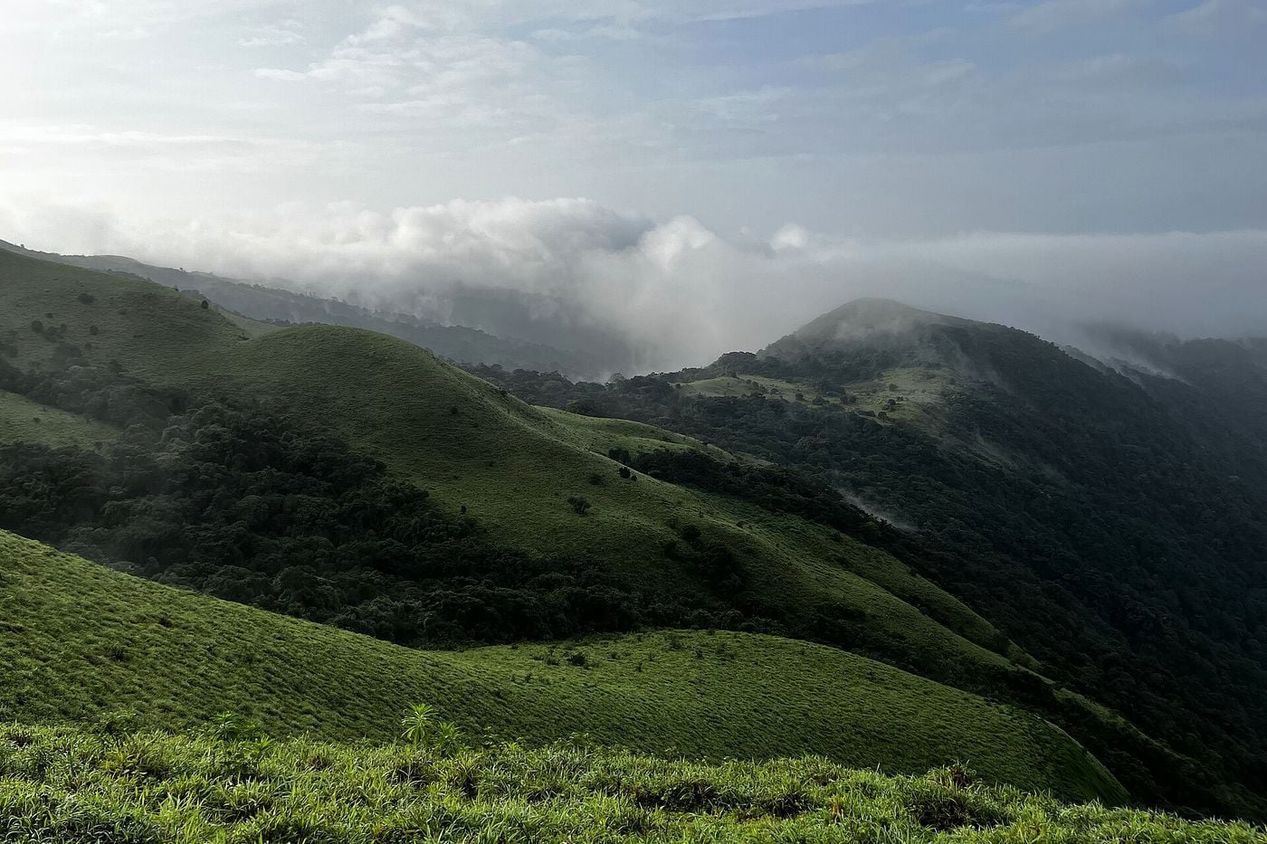 Cloud rolling over the green ridges at Mandalpatti viewpoint