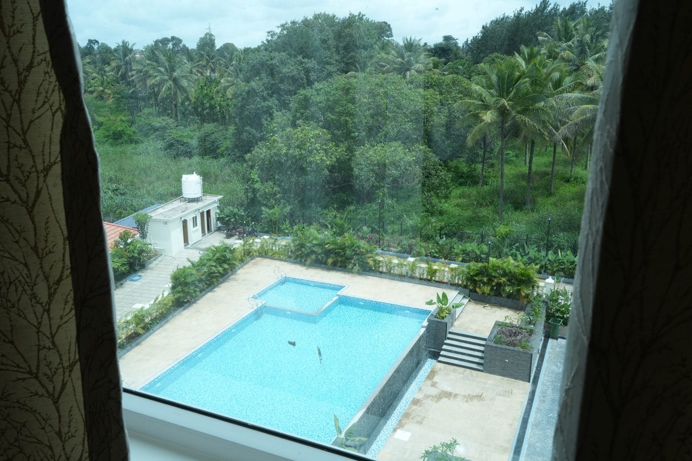 The swimming pool and the surrounding palms seen from the Presidential Suite window