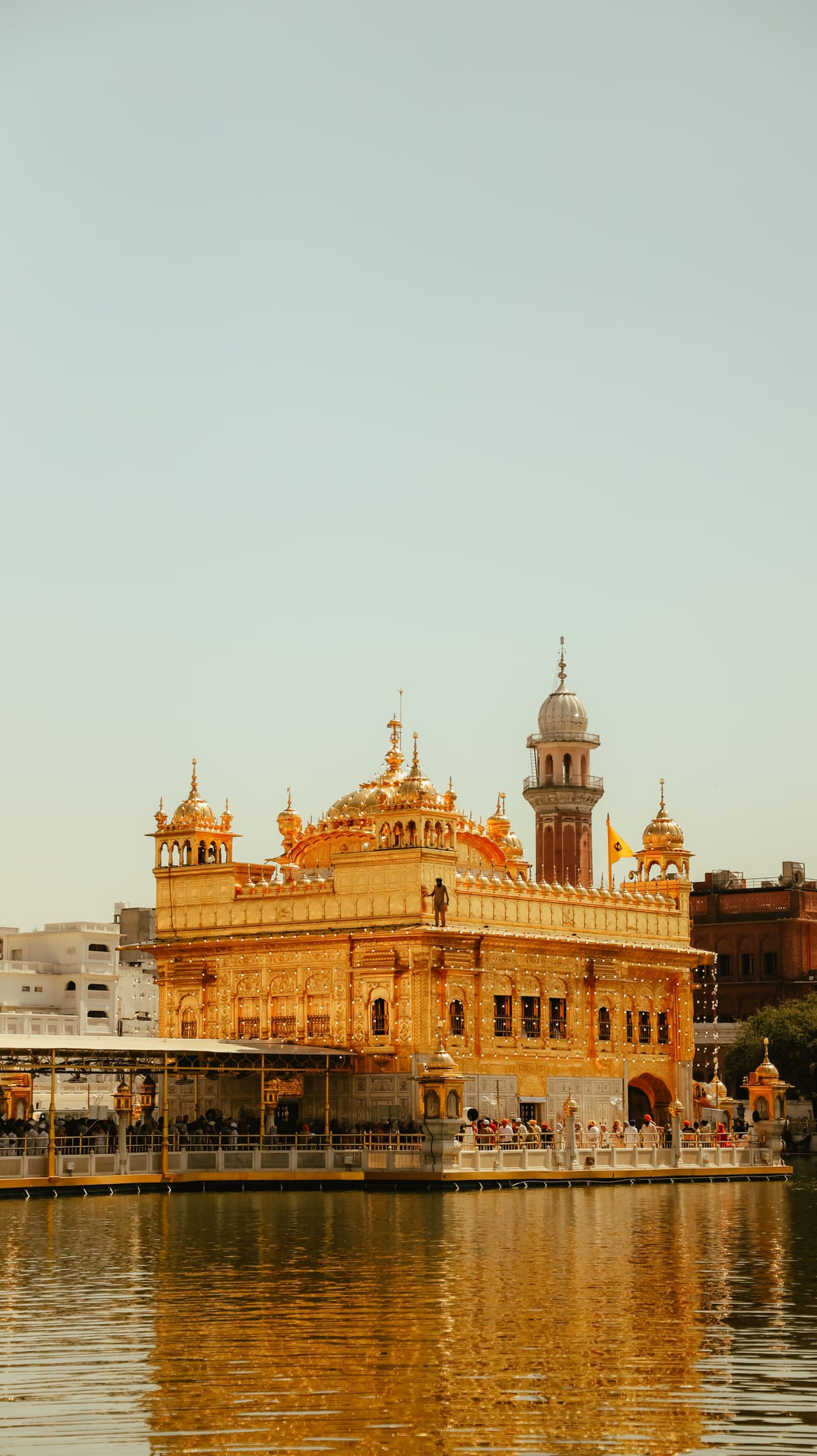 The Golden Temple in Amritsar at dusk, its gilded shrine standing in the middle of the sacred tank