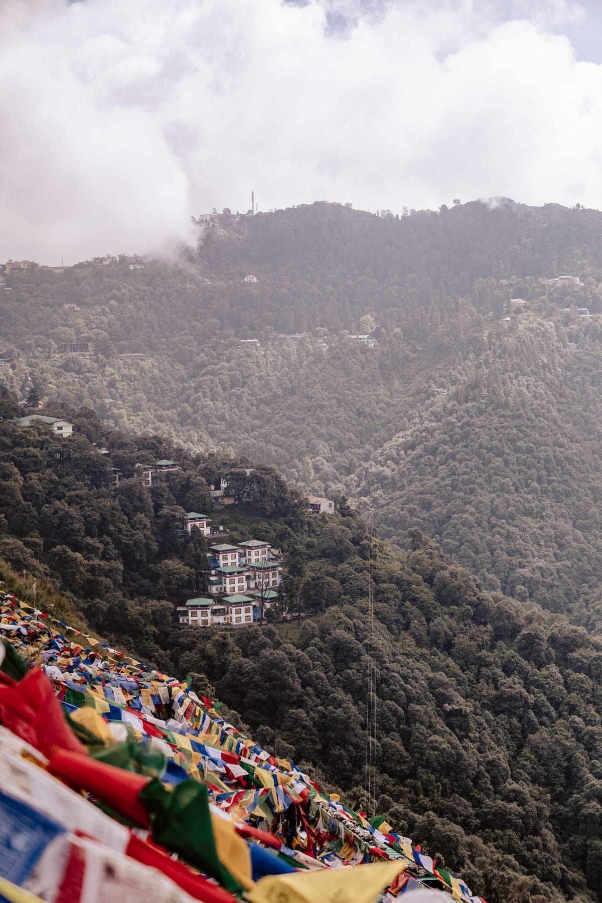 Prayer flags strung along a misty hillside above McLeod Ganj, the wooded slopes falling away into the cloud far below them