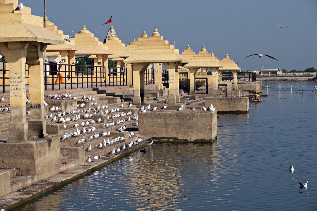 The temple pavilions standing above the ghats at Dwarka, seagulls gathered along the steps down to the water