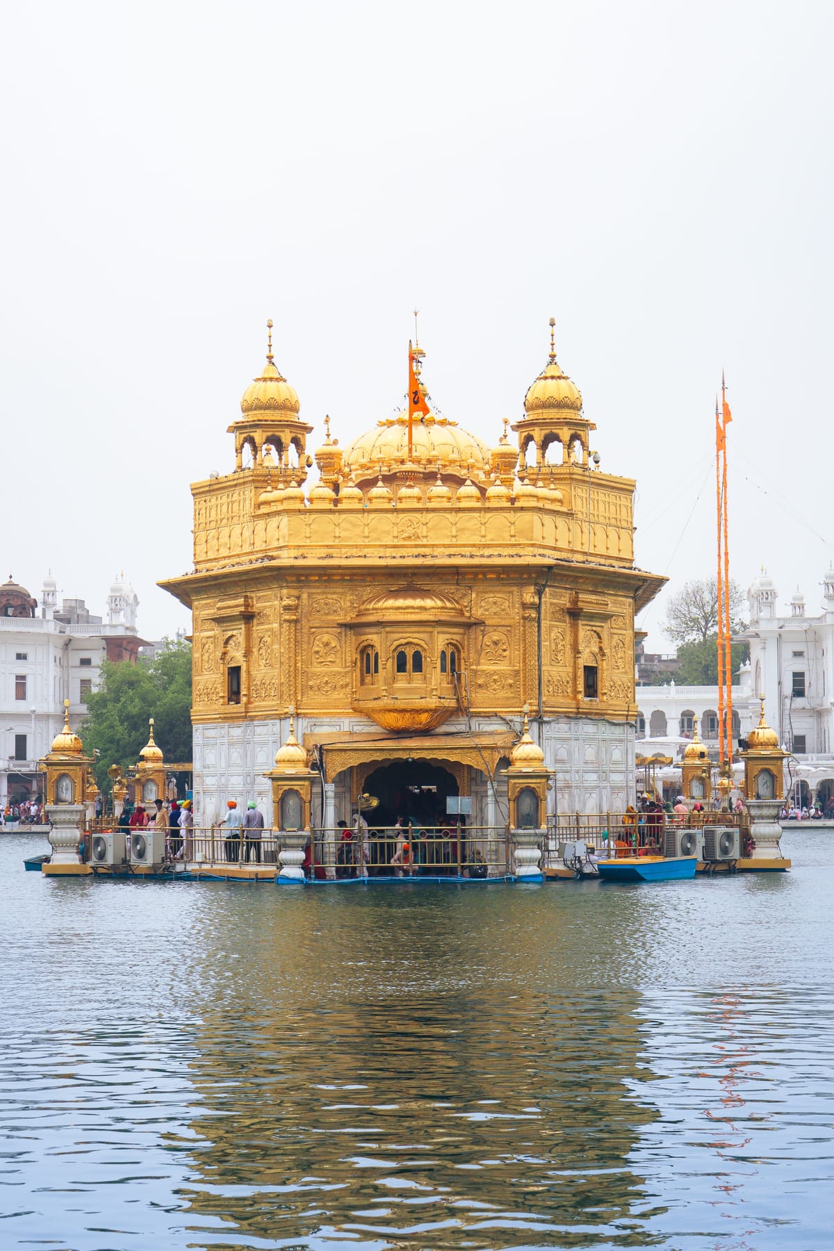 The gilded Harmandir Sahib, the Golden Temple, rising from the middle of its sacred tank in Amritsar