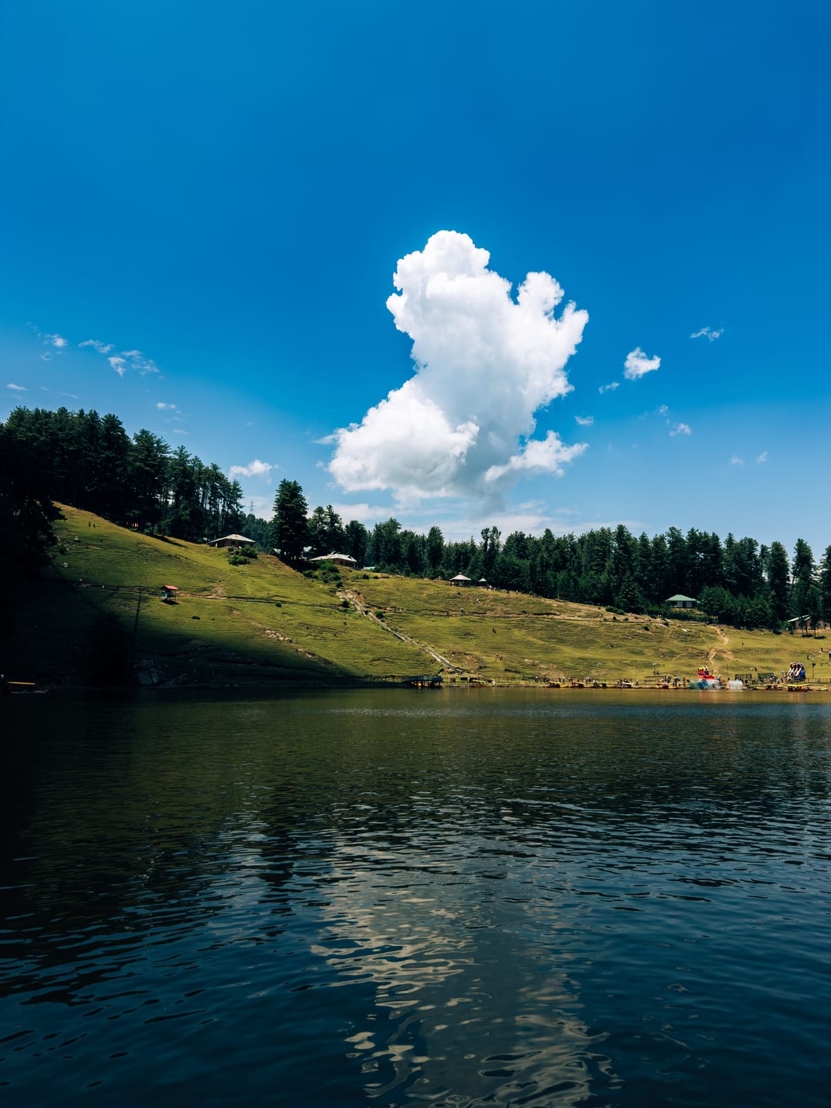A still lake below a grassy slope and a line of conifers at Sanasar, with a single white cloud standing in the blue sky above