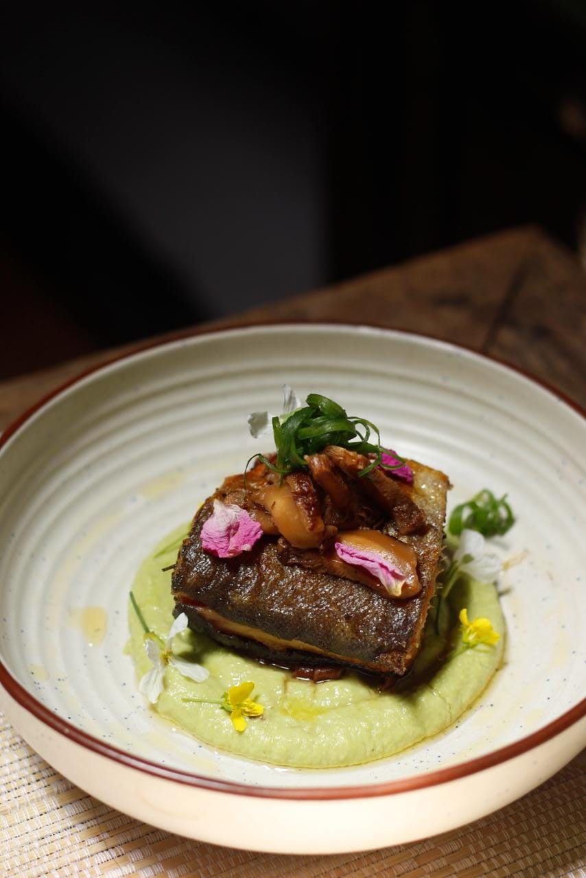 Pan-seared fish on a bed of green purée