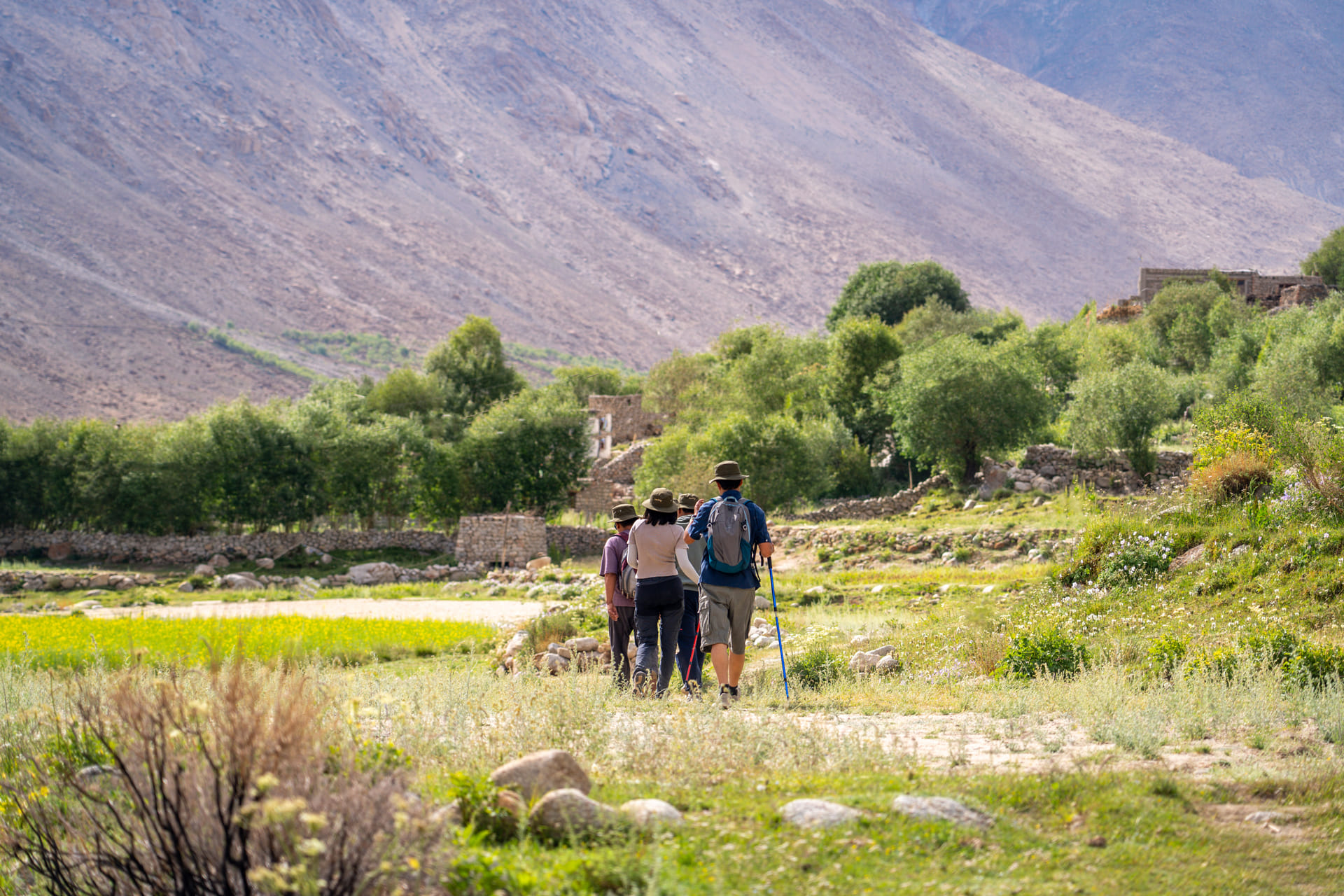 A small group trekking through a green highland pasture towards the mountains at Hunder dok
