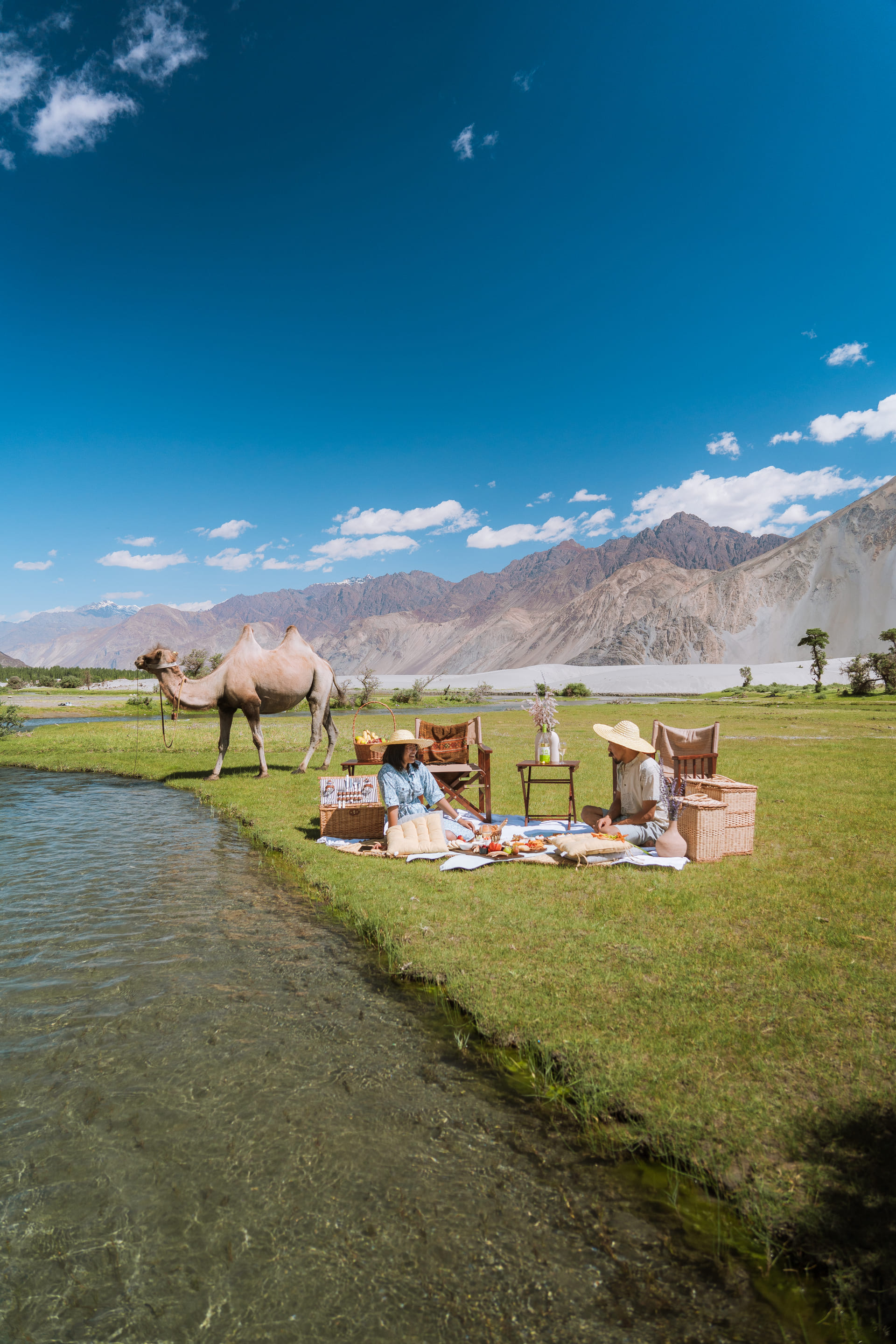 A riverside picnic with a Bactrian camel in Nubra Valley