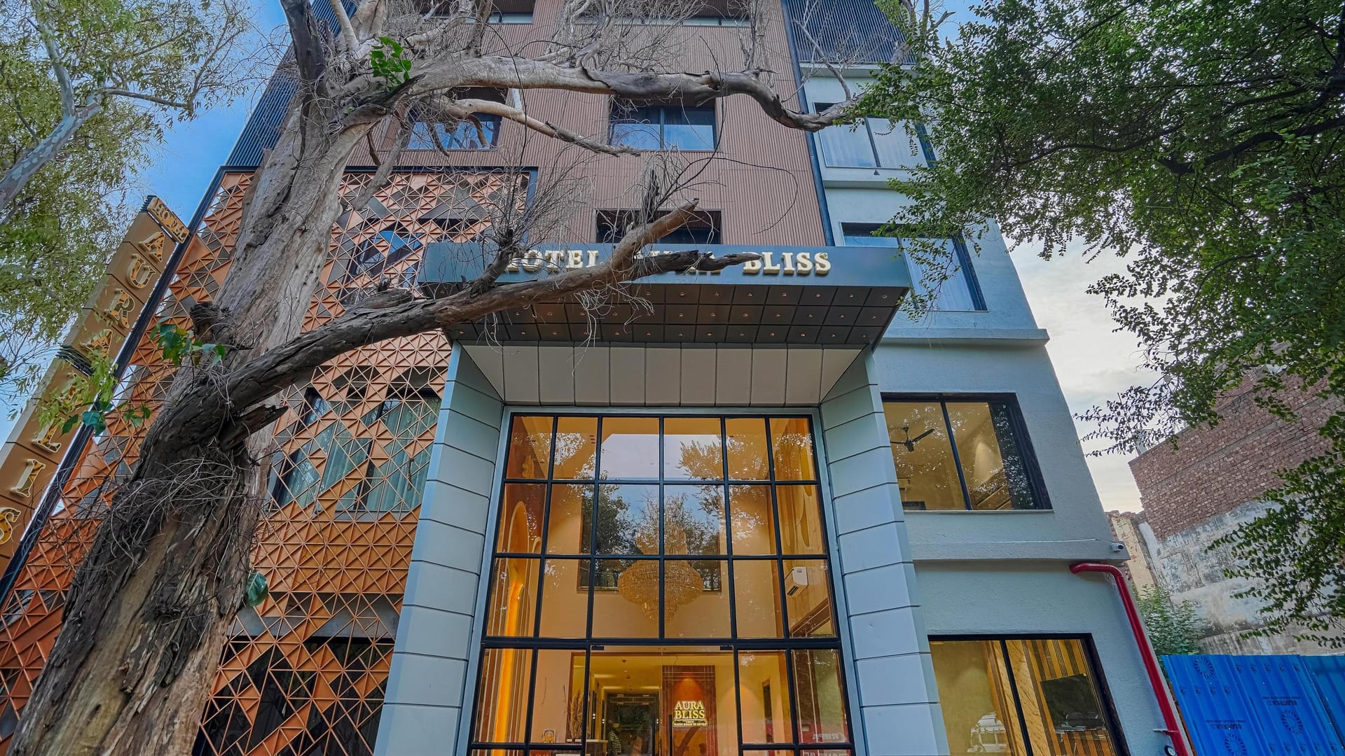 The glass frontage of Aura Bliss in Amritsar seen through the branches of a large tree, with the signage