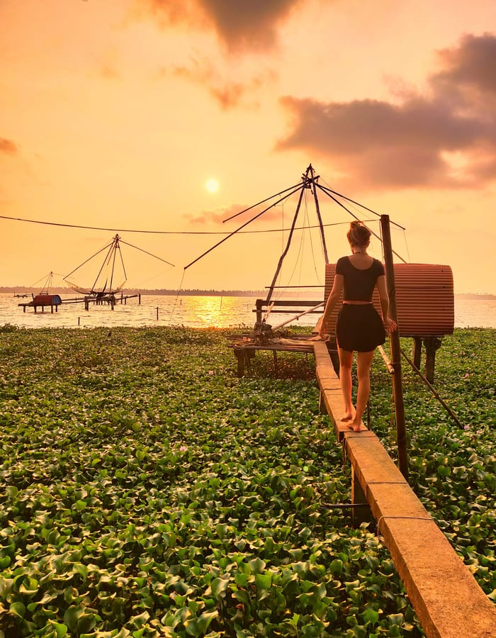 Sunset over Kumbalanghi backwaters with two Chinese fishing nets, water-hyacinth cover and a person walking a plank toward a stilted fisher hut