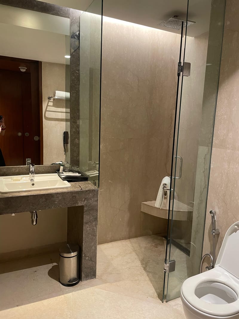 Standard King Room walk-in shower at The Anya Hotel, Gurugram