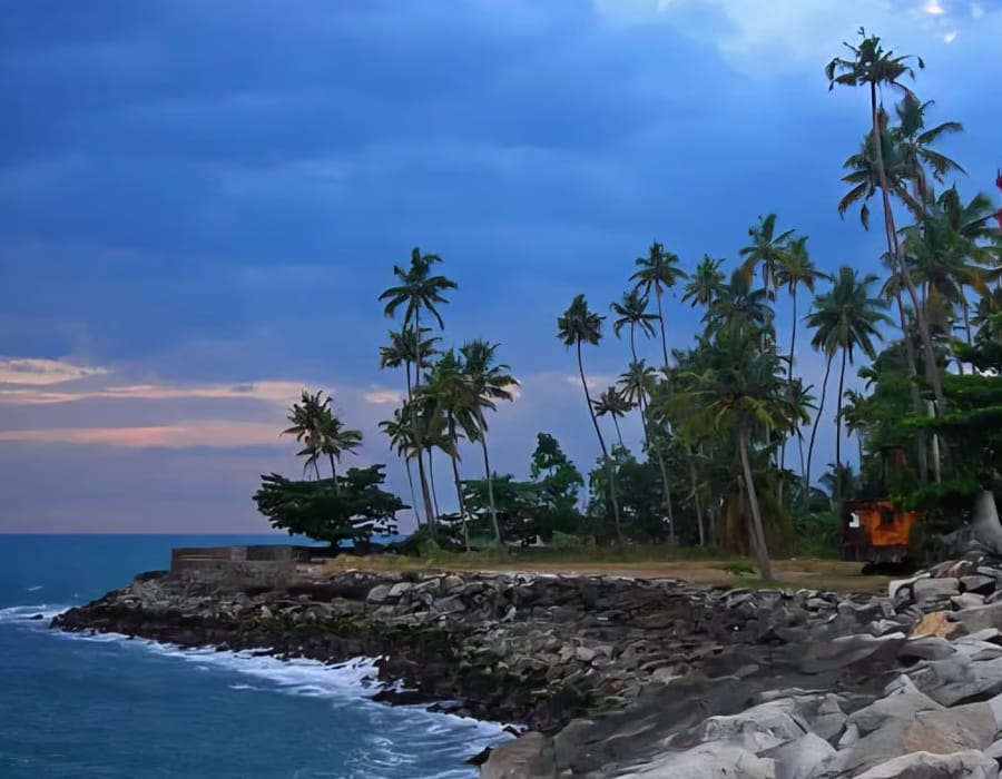 Palm-lined Cherai Beach on Vypin Island with waves rolling onto pale sand and open sky above, Kochi