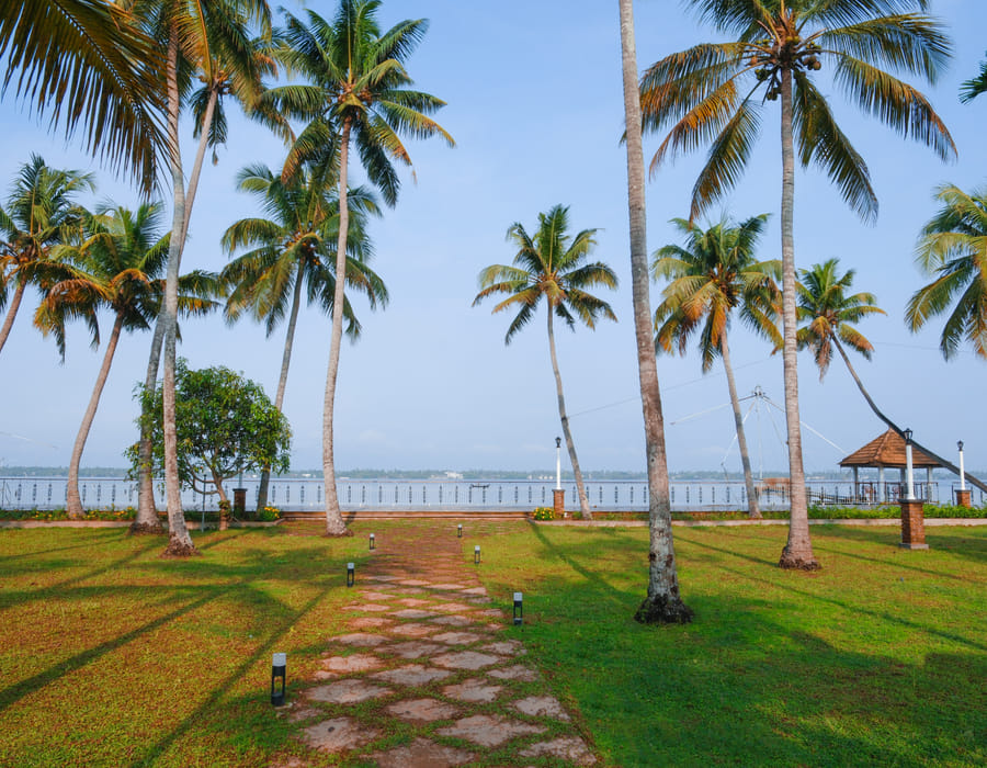 Open lawn at Sanskreti lined with coconut palms leading to the Vembanad Lake shore