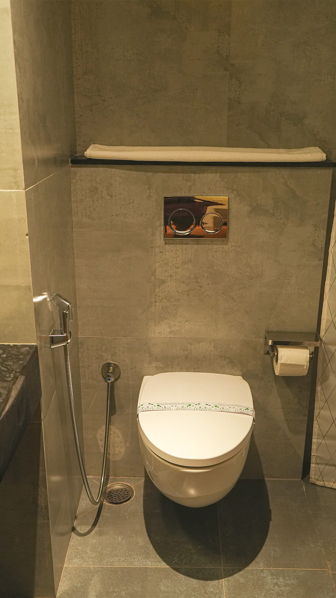 Bathroom with a wall-mounted toilet and a towel shelf above the flush panel