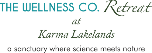 The Wellness Co Retreat At KArma lakeland logo