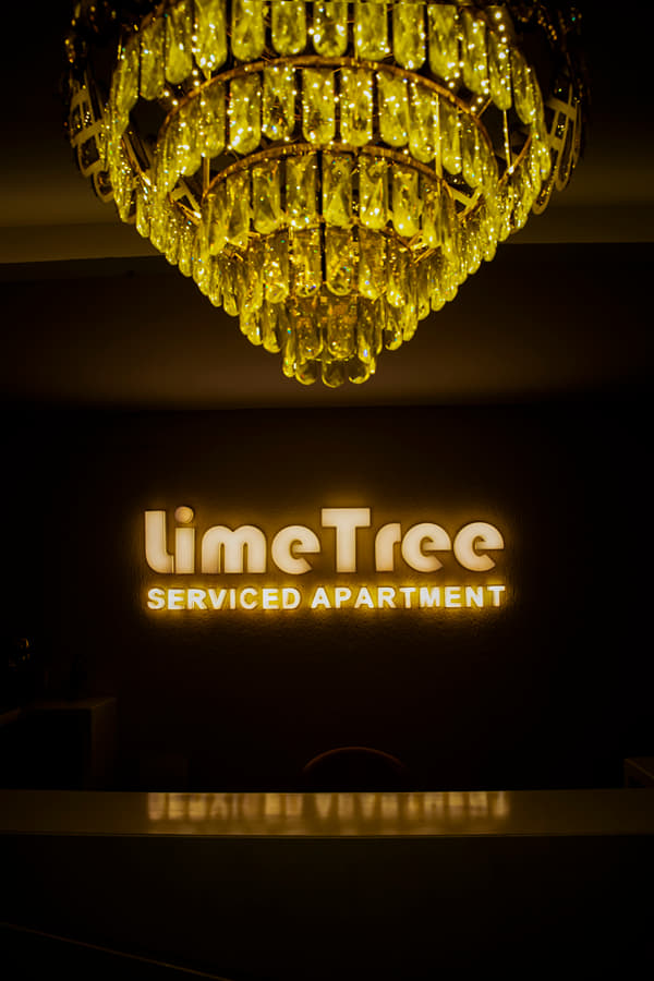 Lime Tree Luxury Studio — photo 5