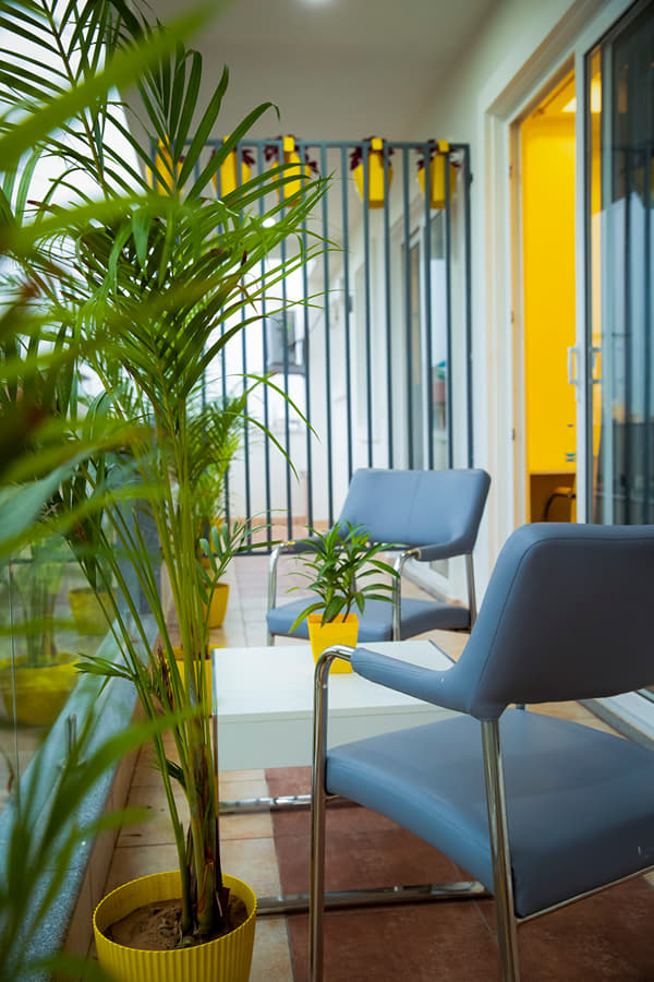 Lime Tree Luxury Studio — photo 6