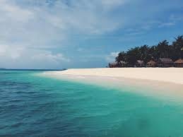 A curving white sand beach lined with palm trees meets turquoise water, with thatched huts visible among the trees on Daku Island, Siargao