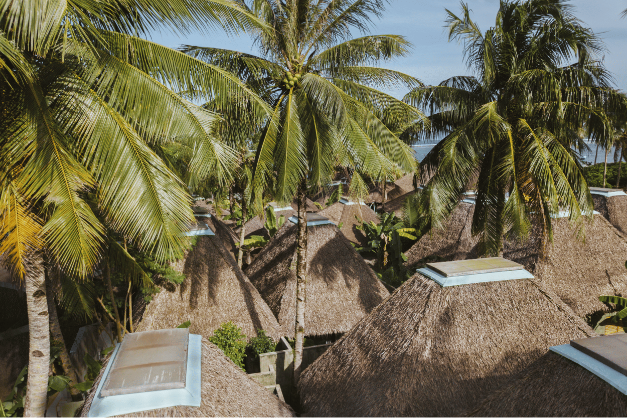 Thatched roofs of villas at Bravo Beach Resort Siargao nestled among tall coconut palms, with the ocean visible in the distance beyond