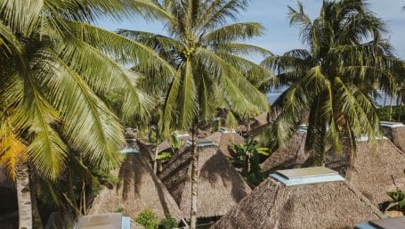 Thatched villa roofs at Bravo Beach Resort Siargao seen through swaying coconut palm fronds, with a glimpse of the turquoise ocean beyond
