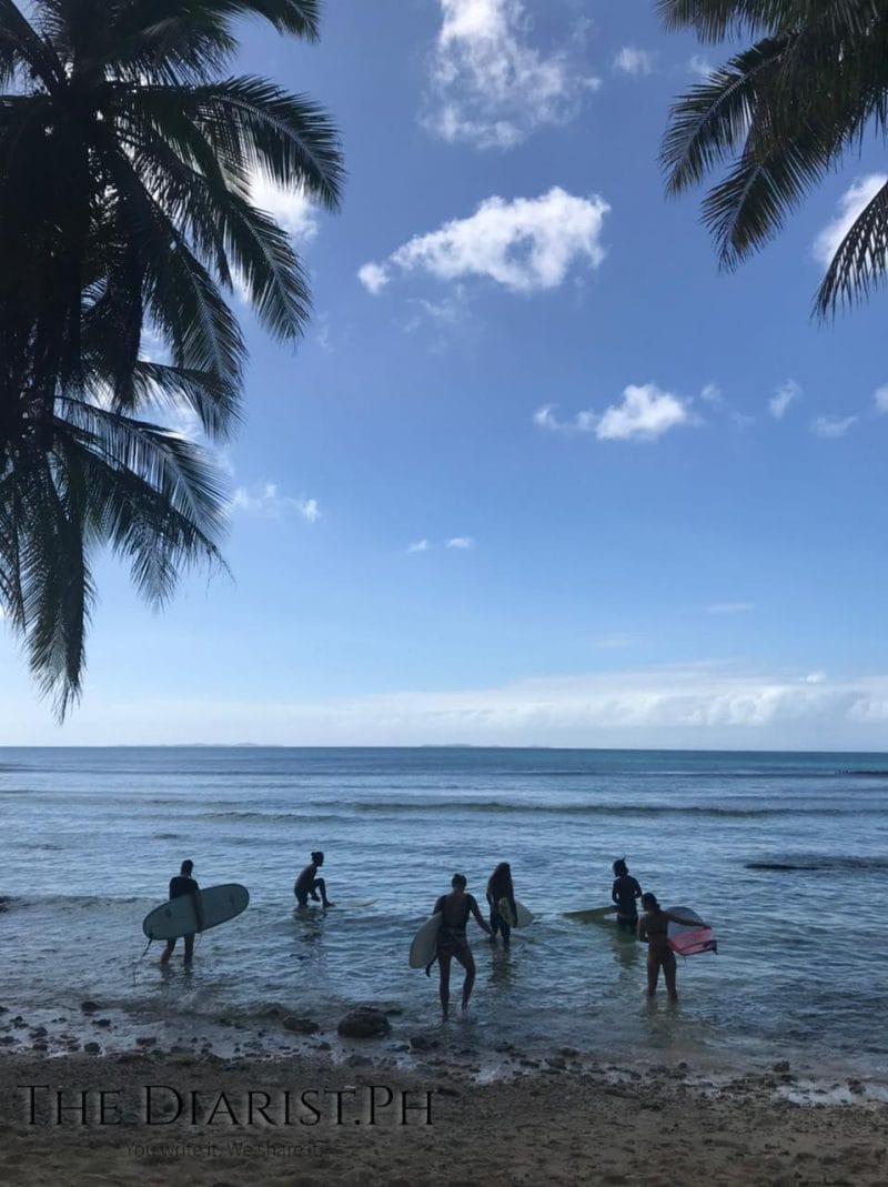 A group of surfers wading into calm ocean water carrying their boards, framed by palm tree fronds, credited to The Diarist.PH