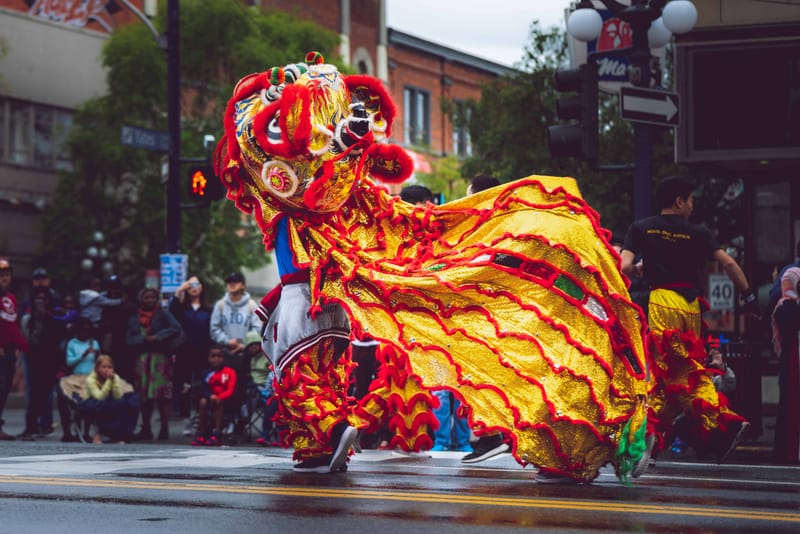 A performer in a golden and red lion dance costume performs on a rain-slicked city street during a Chinese New Year celebration