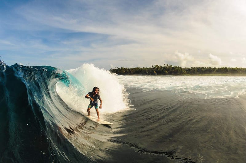 A surfer crouches while riding inside a curling turquoise wave, with a palm tree lined coastline visible in the background near Siargao