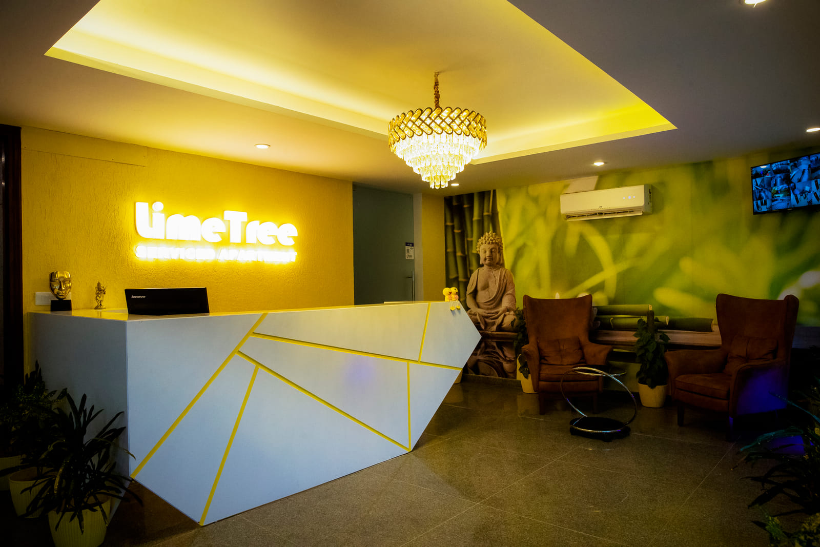 Lime Tree Luxury Studio