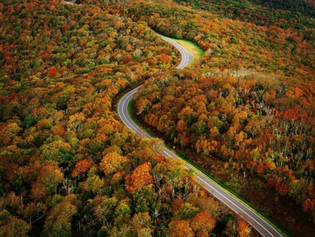 318 Curves in 11 Miles: Riding the Tail of the Dragon