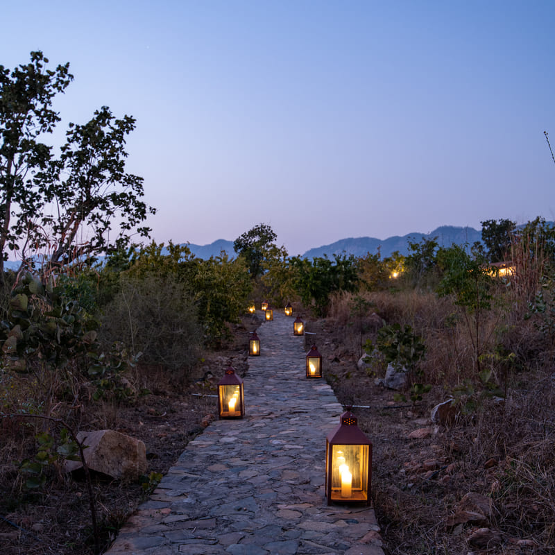 A stone pathway lined with lanterns