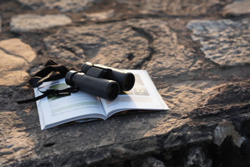 Binoculars resting on a field notebook