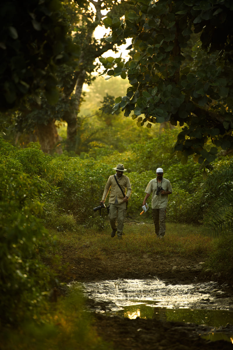 An image 2 men walking amidst green a forest - An image of a jeep parked amidst the rocky mountains - Utsav Camp Sariska