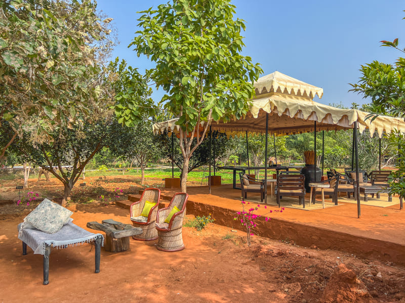 An image of an outdoor seating arrangement with trees surrounding the area - Utsav Camp Sariska