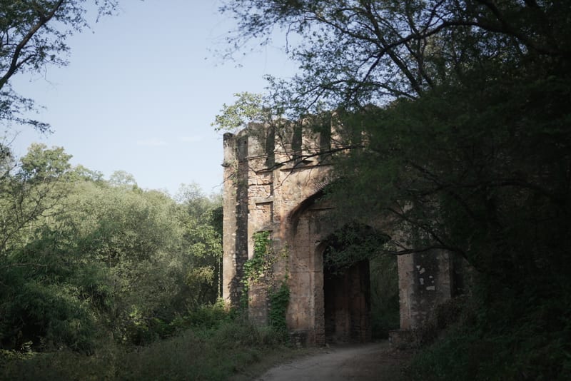 The old stone gateway on the road into Sariska