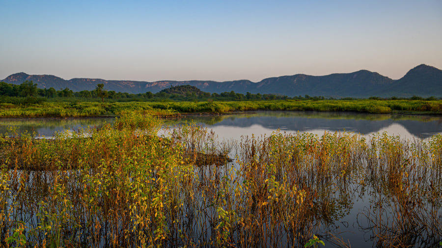 Reeds and open water at Mansarovar, the Aravallis beyond