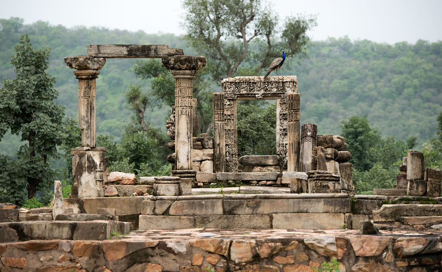 Carved stone ruins standing among the trees at Neelkanth