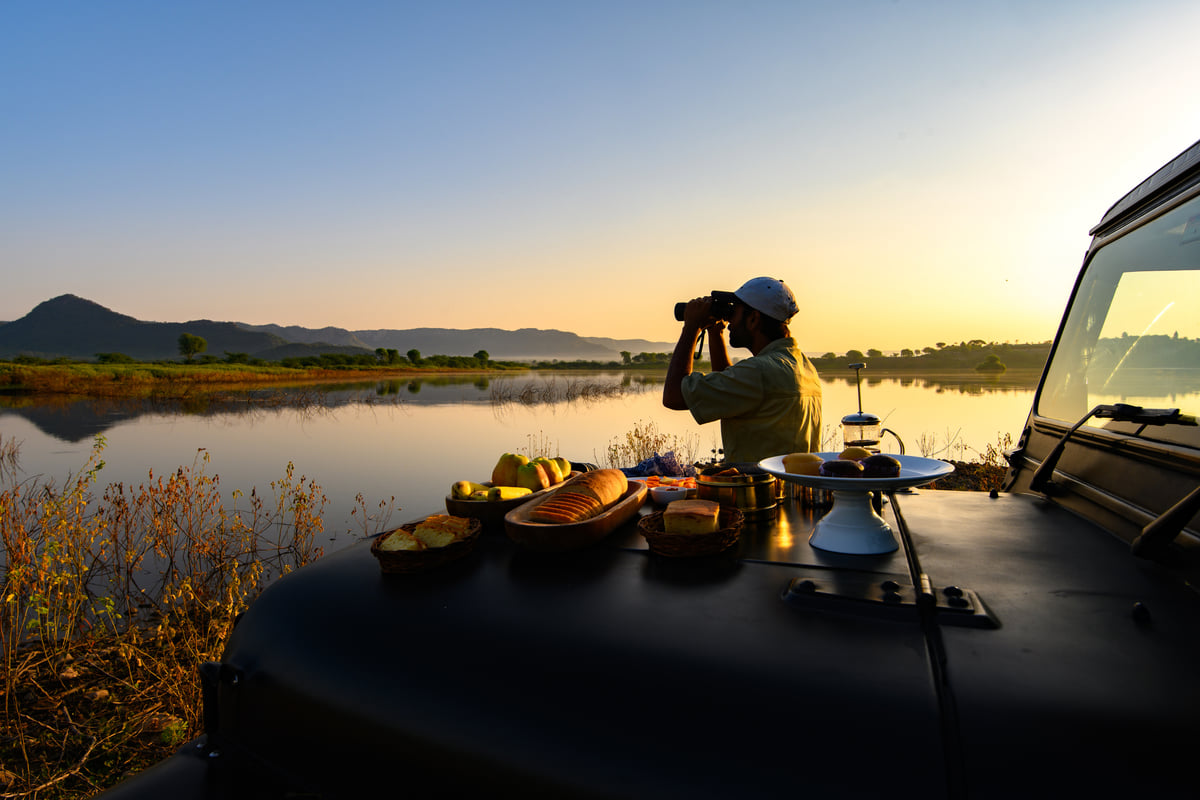 Birdwatching by the lake at sunset