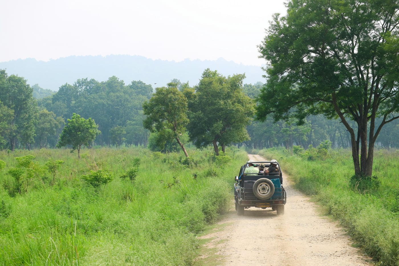 A jeep pausing on a wilderness track at dusk near Tehla