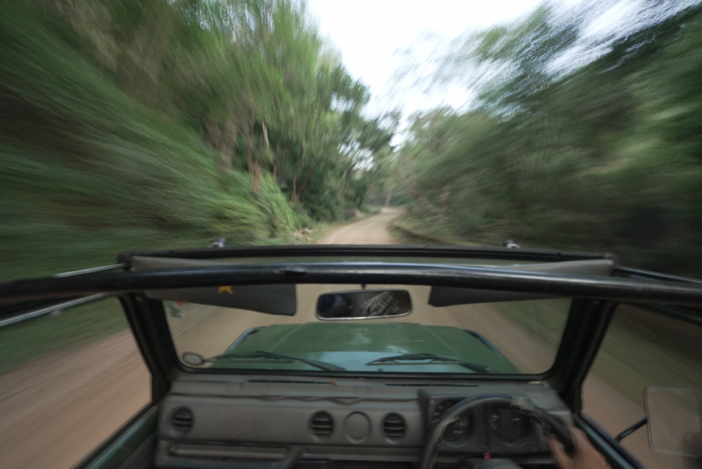 A jeep driving on a trail in the jungle of Wildlife Safaris | Utsav Camp Sariska