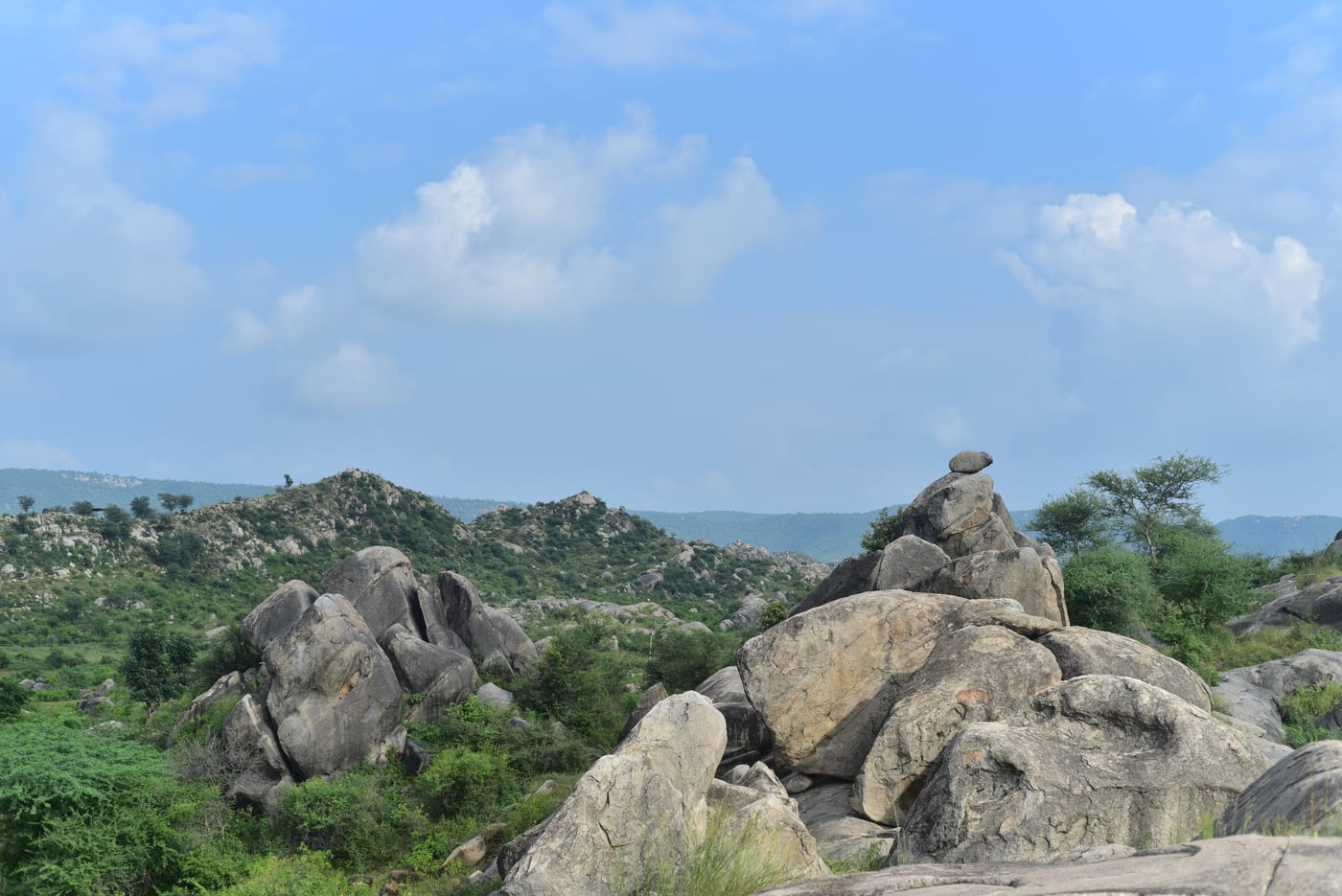 Image of a Vital Ecological Corridor in Sariska | Utsav Camp Sariska