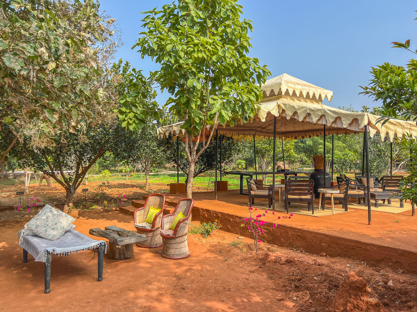 An image of an outdoor seating arrangement with trees surrounding the area - Utsav Camp Sariska