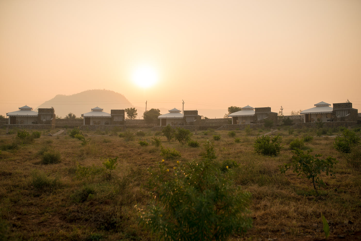 A facade view of grassland and low shrubs below the camp - Utsav Camp Sariska