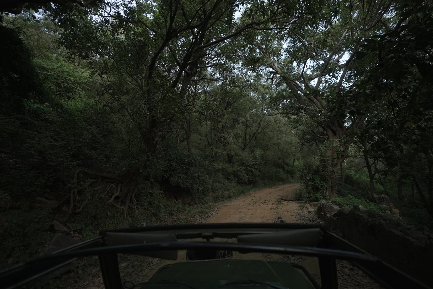 POV image of Jeep Safari at Sariska - Utsav camp Sariska