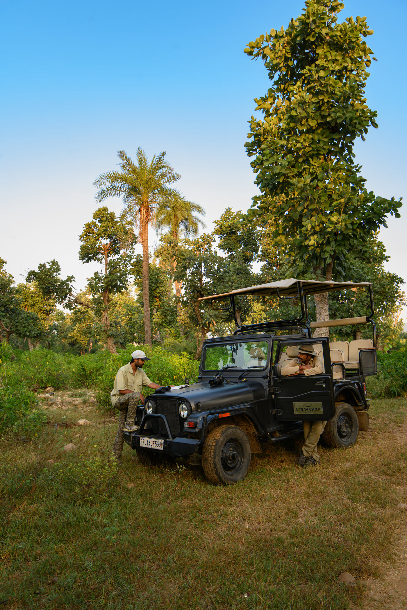 A safari jeep and its guide waiting under the trees