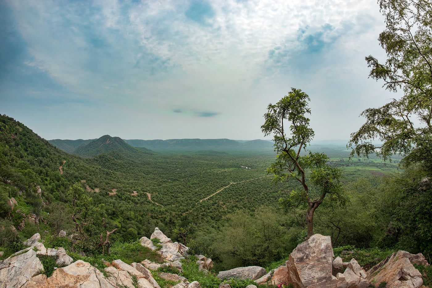 The green valley and rocky slopes of Sariska after the rains
