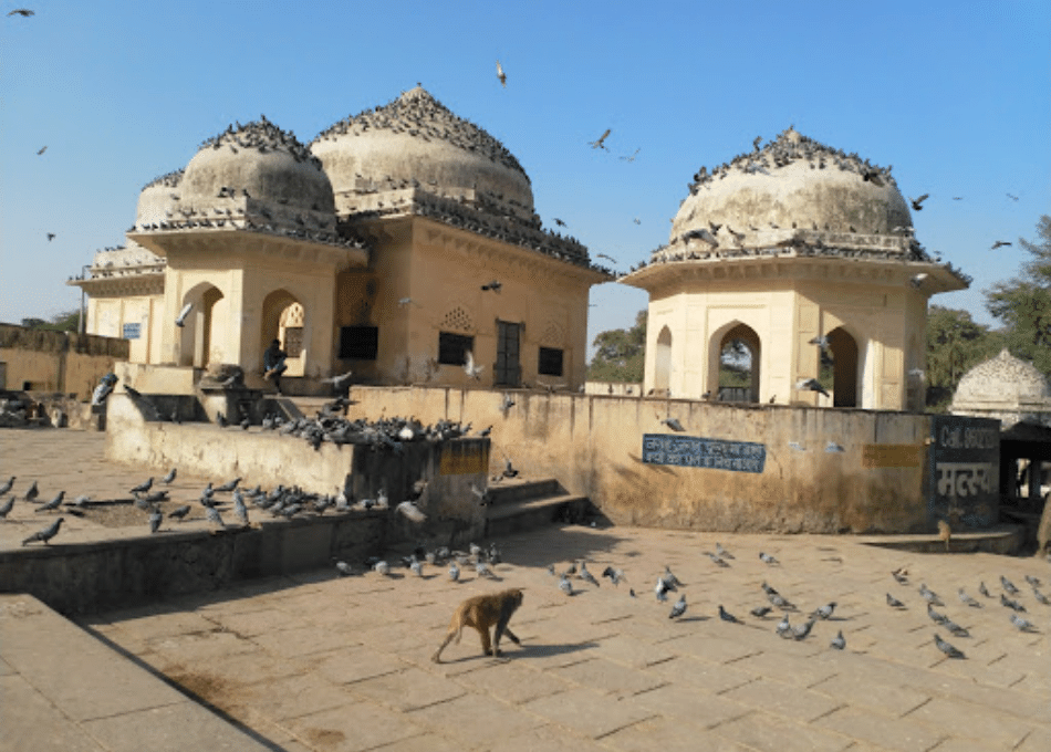 talvriksha - A distinctive rounded domes under a blue sky.