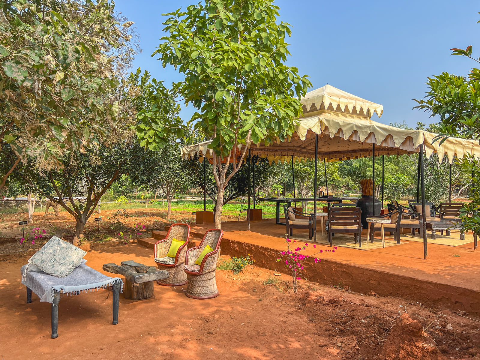 Daybeds and cane chairs set out beneath the trees on the camp grounds