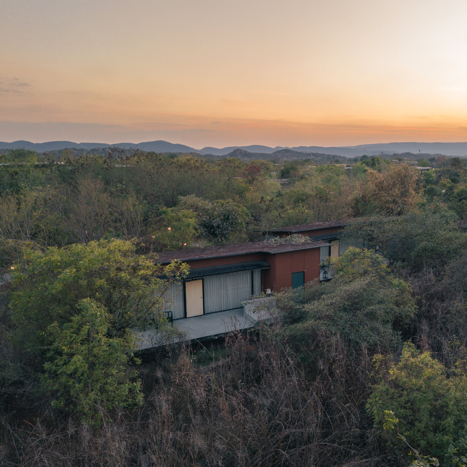 A Forest Bungalow set into the tree canopy at sunset