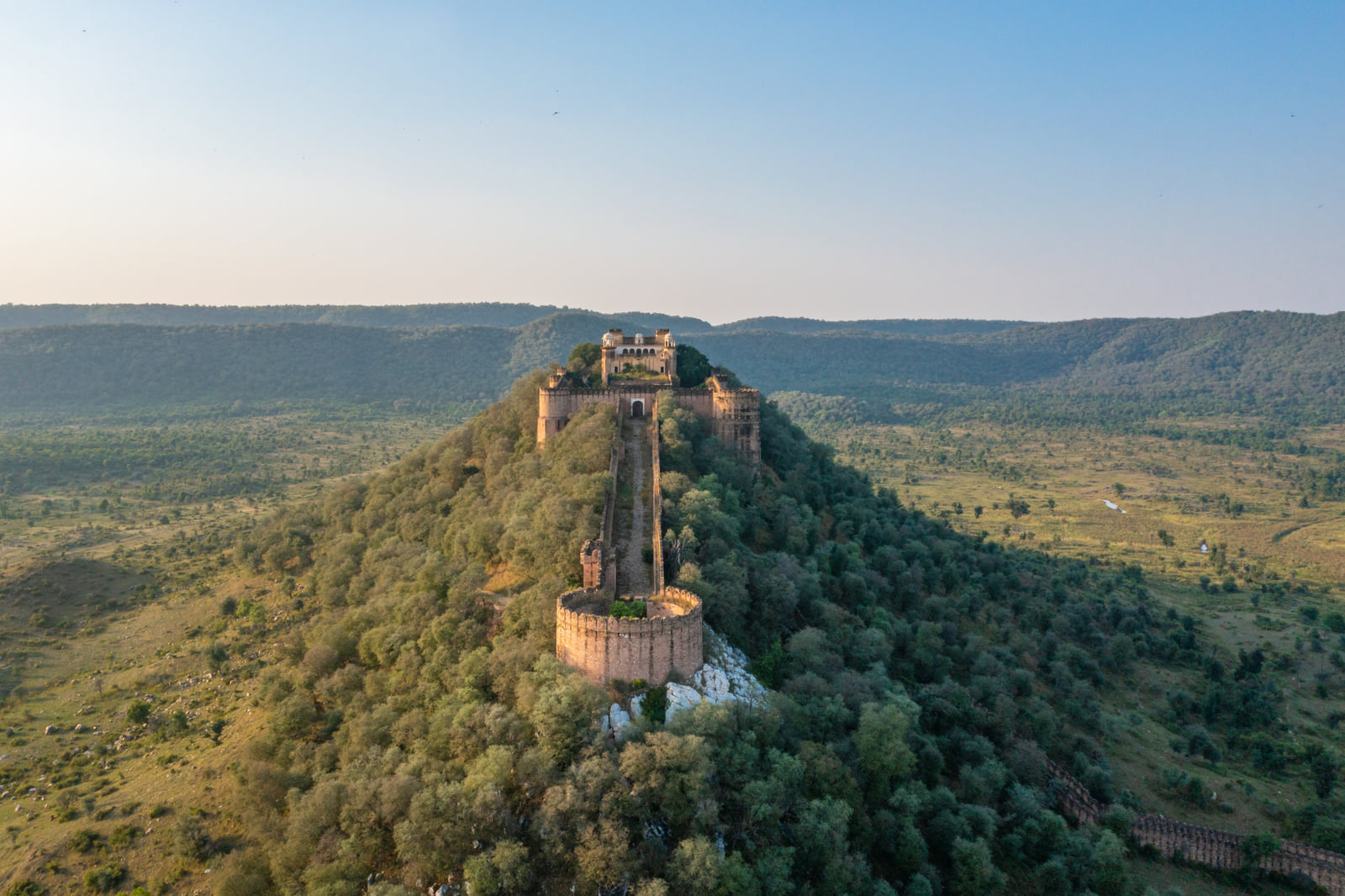 A fort running the length of a forested Aravalli ridge, seen from the air