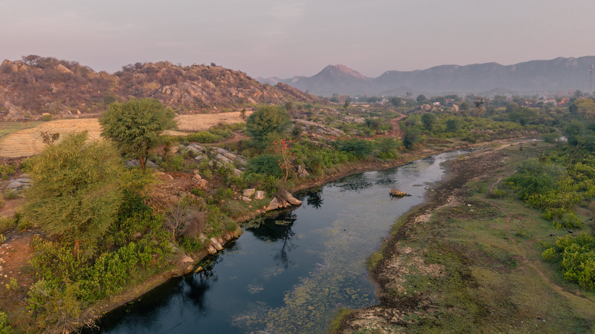 A stream winding between boulders and native scrub, with the Aravalli hills behind at dusk